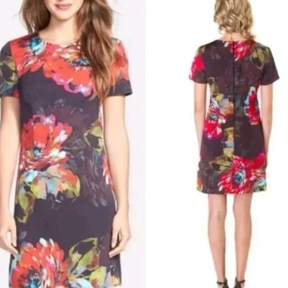Trina Turk Natasha Floral Watercolor Sheath Dress Short Sleeve Sz 6 - Picture 2 of 6